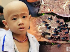 Ảnh bìa bài viết 327216