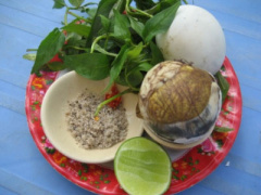Ảnh bìa bài viết 327131