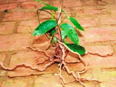 Ảnh bìa bài viết 327355