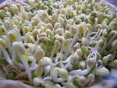Ảnh bìa bài viết 327475