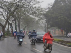 Ảnh bìa bài viết 327705