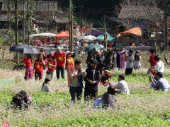 Ảnh bìa bài viết 327793