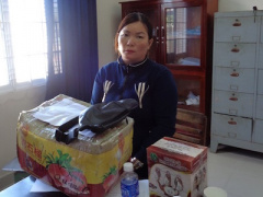 Ảnh bìa bài viết 328116