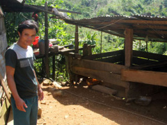 Ảnh bìa bài viết 328216