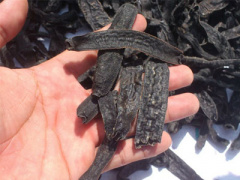 Ảnh bìa bài viết 328617