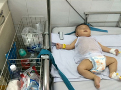 Ảnh bìa bài viết 328667