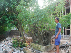 Ảnh bìa bài viết 328550