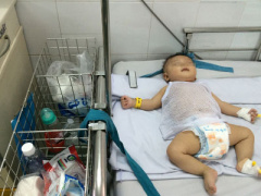 Ảnh bìa bài viết 329067