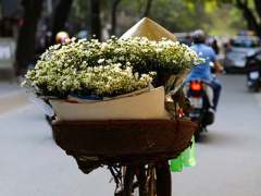 Ảnh bìa bài viết 329153