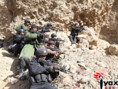 Ảnh bìa bài viết 329255