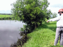 Ảnh bìa bài viết 329532