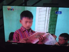 Ảnh bìa bài viết 329736