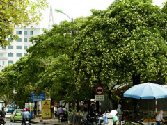 Ảnh bìa bài viết 329708