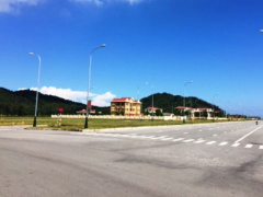 Ảnh bìa bài viết 329541