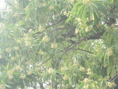 Ảnh bìa bài viết 329768