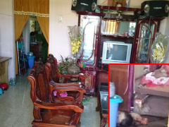 Ảnh bìa bài viết 329917