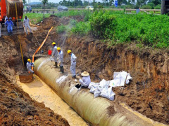 Ảnh bìa bài viết 330136