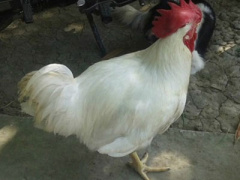 Ảnh bìa bài viết 330217