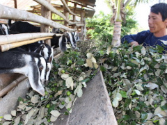 Ảnh bìa bài viết 330359