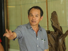 Ảnh bìa bài viết 330551