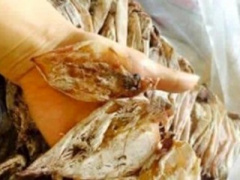 Ảnh bìa bài viết 330681