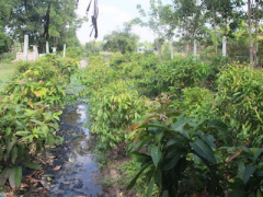 Ảnh bìa bài viết 330708