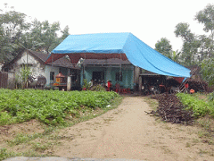 Ảnh bìa bài viết 330987