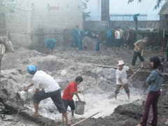 Ảnh bìa bài viết 331387