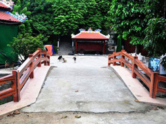 Ảnh bìa bài viết 331579