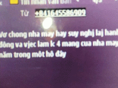 Ảnh bìa bài viết 331593