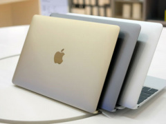 Ảnh bìa bài viết 331439