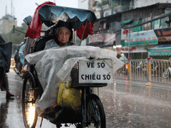 Ảnh bìa bài viết 331596
