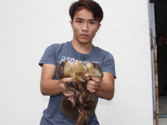 Ảnh bìa bài viết 331782