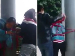 Ảnh bìa bài viết 331815