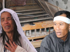Ảnh bìa bài viết 331855
