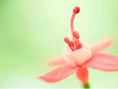 Ảnh bìa bài viết 331930