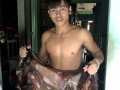 Ảnh bìa bài viết 331933