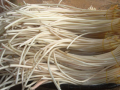 Ảnh bìa bài viết 332150