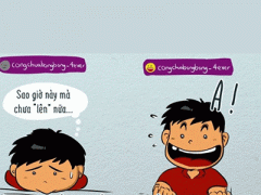 Ảnh bìa bài viết 332248