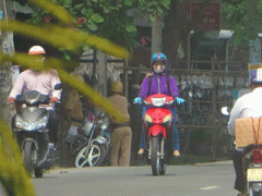 Ảnh bìa bài viết 332641