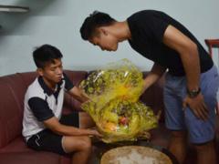 Ảnh bìa bài viết 332617