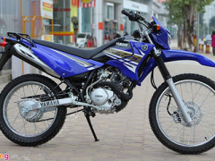 Ảnh bìa bài viết 332493