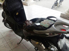 Ảnh bìa bài viết 332844