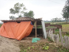 Ảnh bìa bài viết 332759