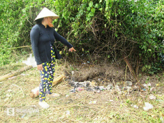 Ảnh bìa bài viết 332947