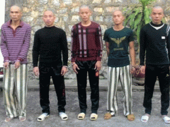 Ảnh bìa bài viết 333103