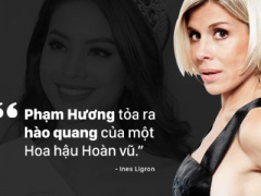 Ảnh bìa bài viết 333303