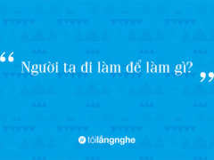 Ảnh bìa bài viết 333385