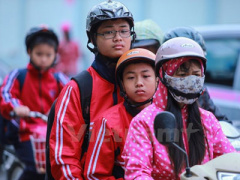 Ảnh bìa bài viết 333544