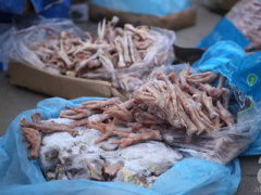 Ảnh bìa bài viết 333622